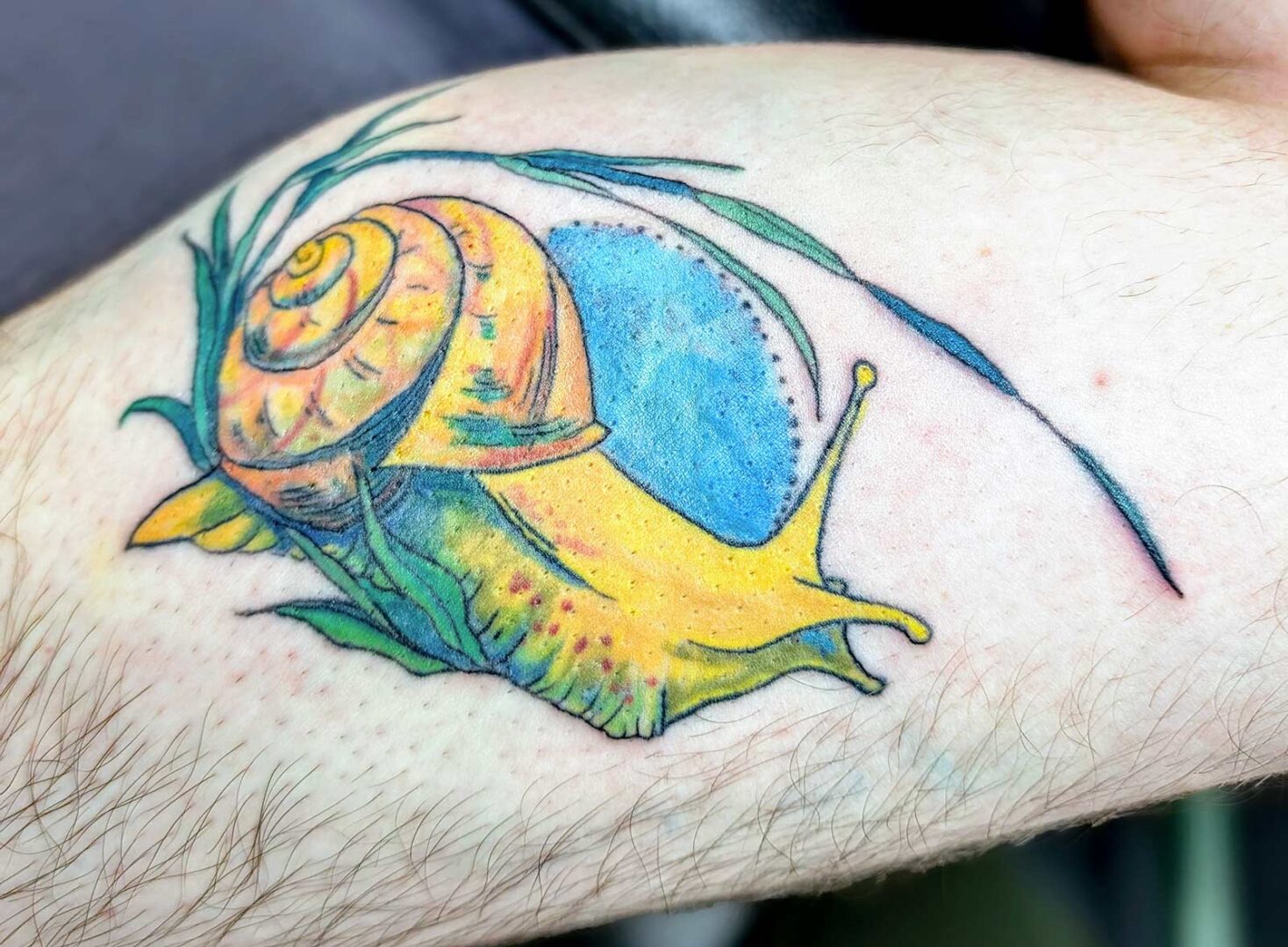 Close up of a colorful snail tattoo on someones calf.