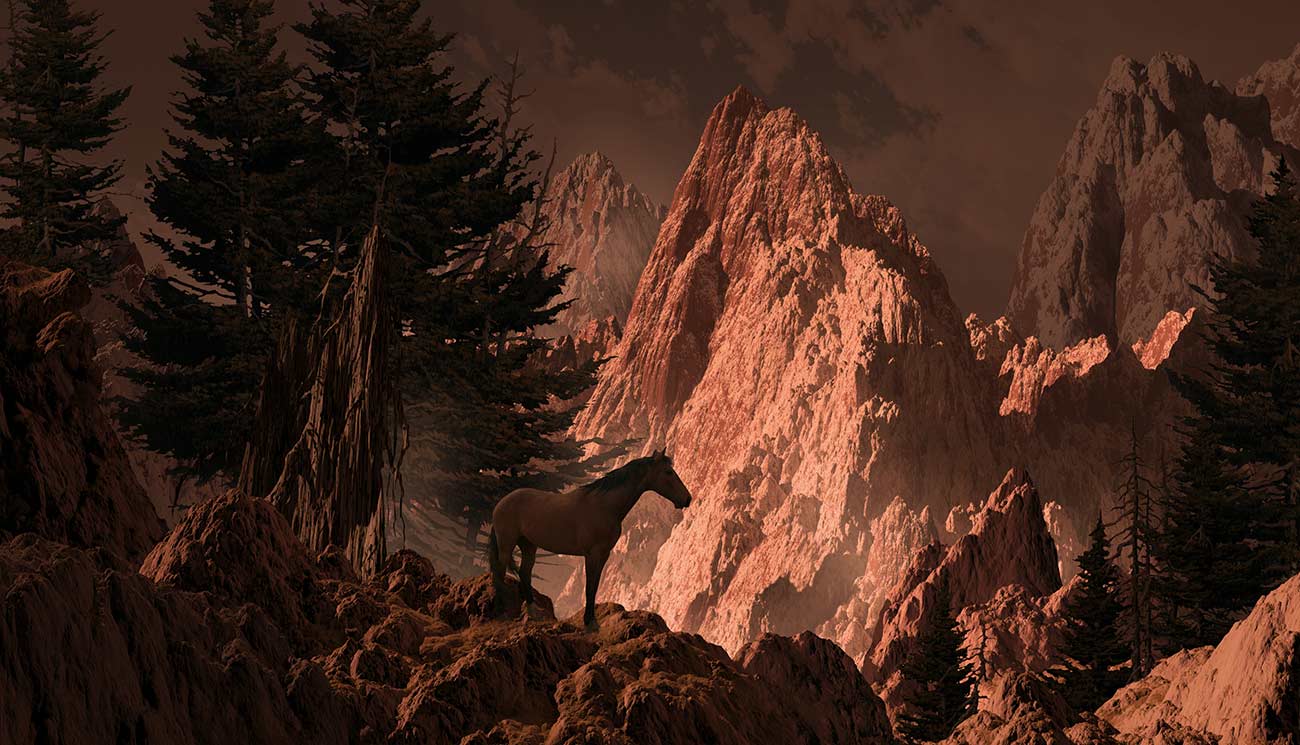 Wild Horse in the Rocky Mountain high country.